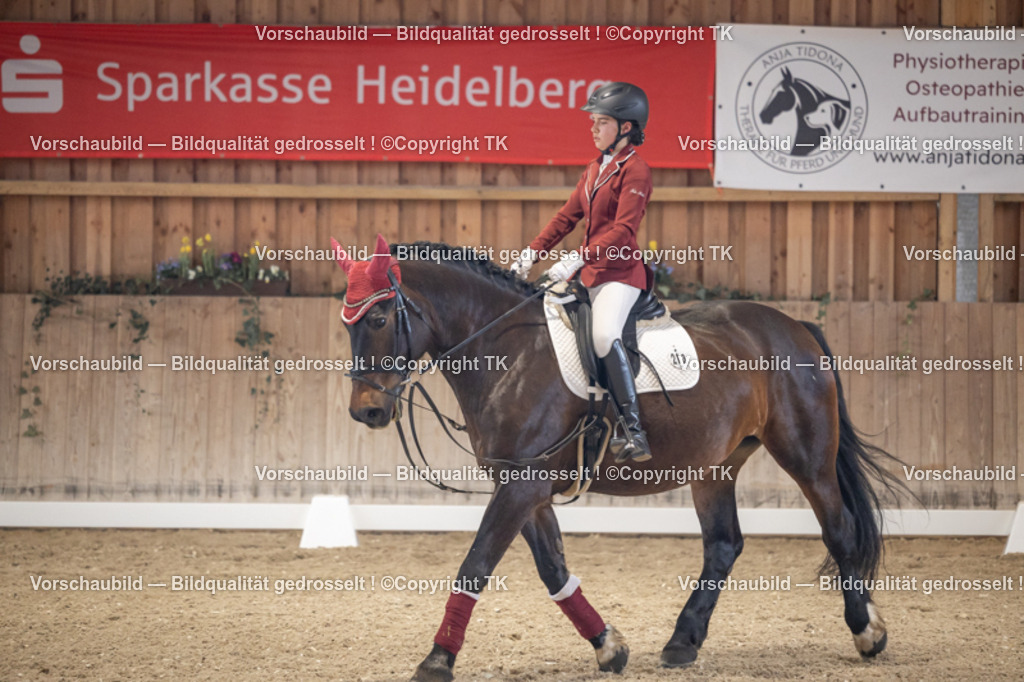 _D5A5515 | Emotionale Pferde- & People-Fotografie rund um Heidelberg, Leimen & Umgebung. Natürliche Fotos von Pferd, Mensch & Familie. Jetzt Termin sichern!