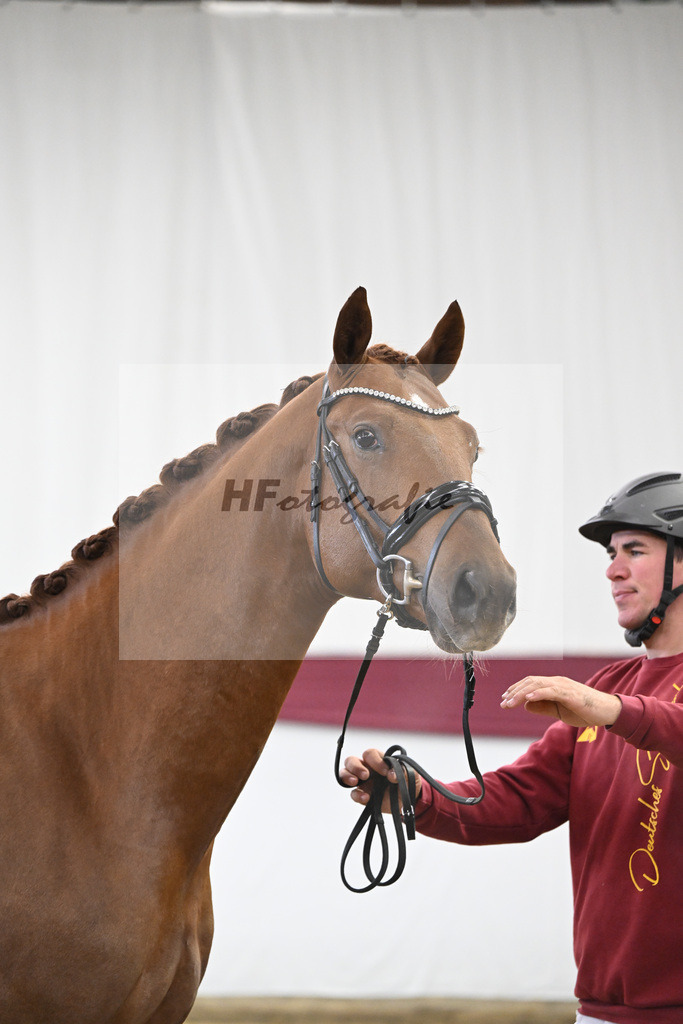 Kat-Nr. 122 Fynch Hatton x De Niro_Wolfgang Reich_47253590 | hf-fotografie - Realisiert mit Pictrs.com