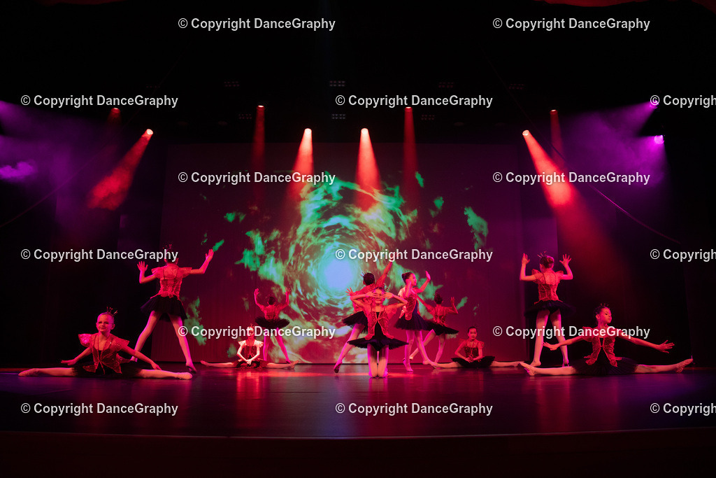 GPHY3246 | DanceGraphy - Realisiert mit Pictrs.com