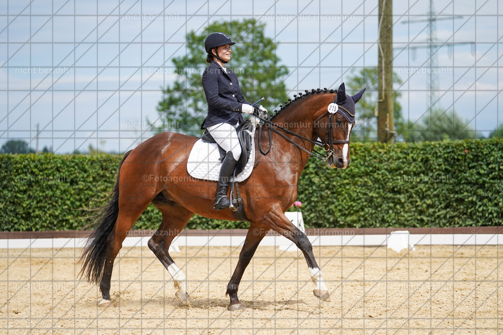 20240630-FAH02271 | Turnierbilder Schwabmünchen, Dressurbilder, Springreitturnier, Reitsportbilder, Turnierfotografen Bayern, Turnierfotograf