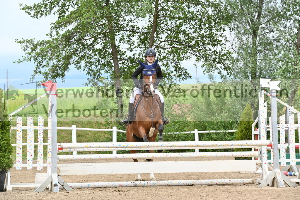 DSC_9168 | equestrian-live-com