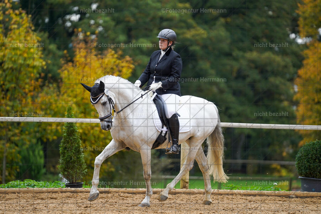 20221008-FAH01496 | Diessen am Ammersee, 2022, Dressur- und Springturnier, Reitsportbilder, Turnierfotografen Bayern, Pferdefotografen, Fotoagentur Herrmann, Turnierbilder