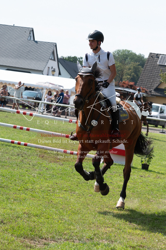 DSC_0690 | Pferde- und Turnierfotografie in Westsachsen. Pferdeportraits, Auftragszeichnungen und intuitive Kunst.