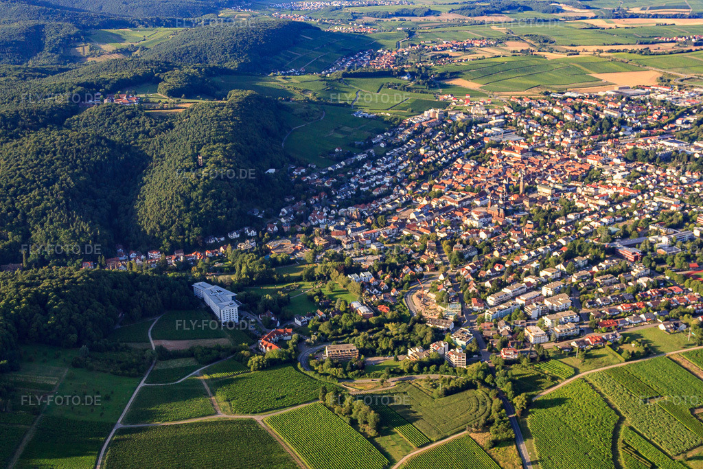 Luftbild: Stadtansicht aus Süden in Bad Bergzabern im Bundesland Rheinland-Pfalz in Deutschland. Foto: IMG_51266.jpg vom 04.08.2012 durch Werner Riehm/FLY-FOTO.de