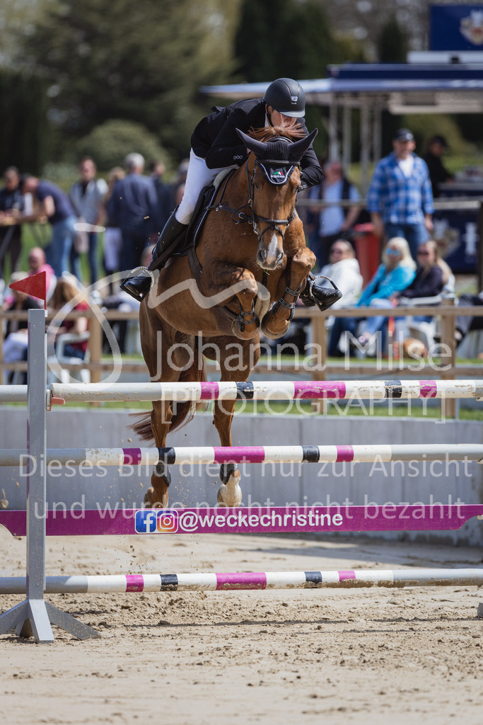 230501_SpengeW_M2St-222 | Deine schönsten Turniermomente als professionelle Fotos! Entdecke hochwertige Pferdesport-Fotografie im Online-Shop. Jetzt Fotos finden & bestellen!