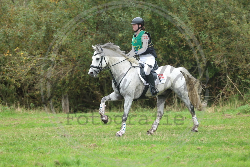 994A3297 | sabrinanicolaifotografie - Realisiert mit Pictrs.com