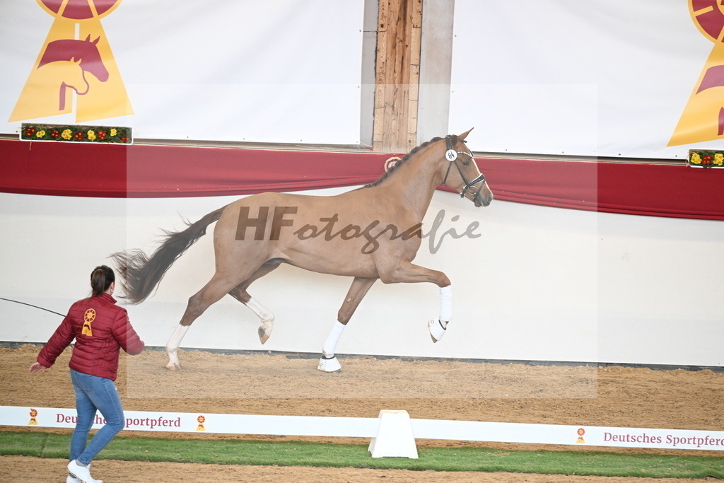 Kat.-Nr. 84 v. Vaderland_van den Oetelaar_2250819 | hf-fotografie - Realisiert mit Pictrs.com