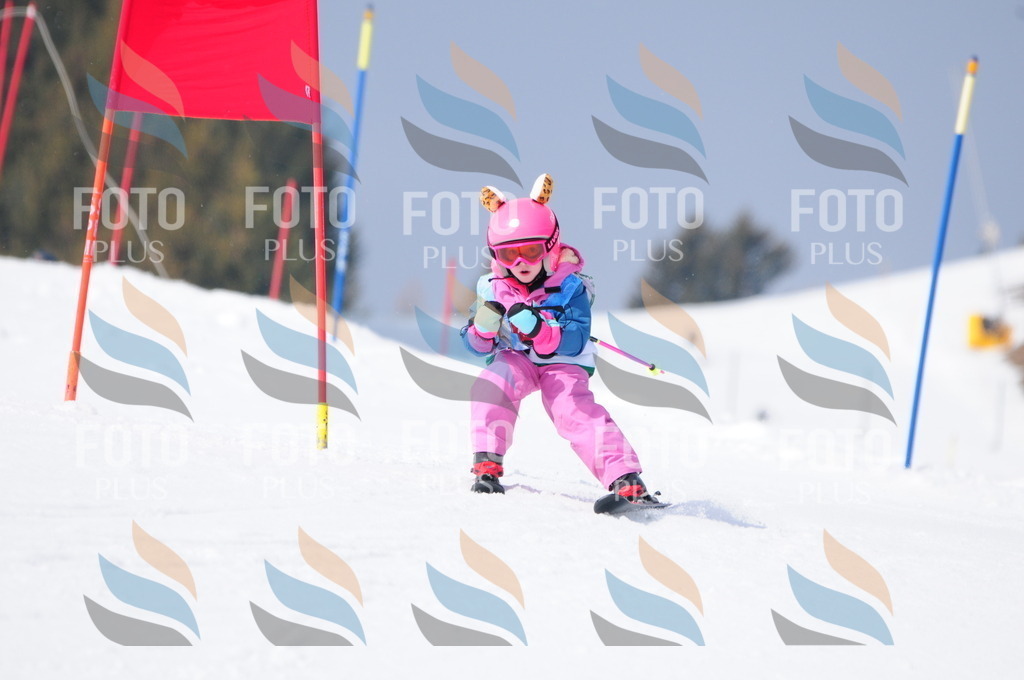 A3593 | holidayphoto