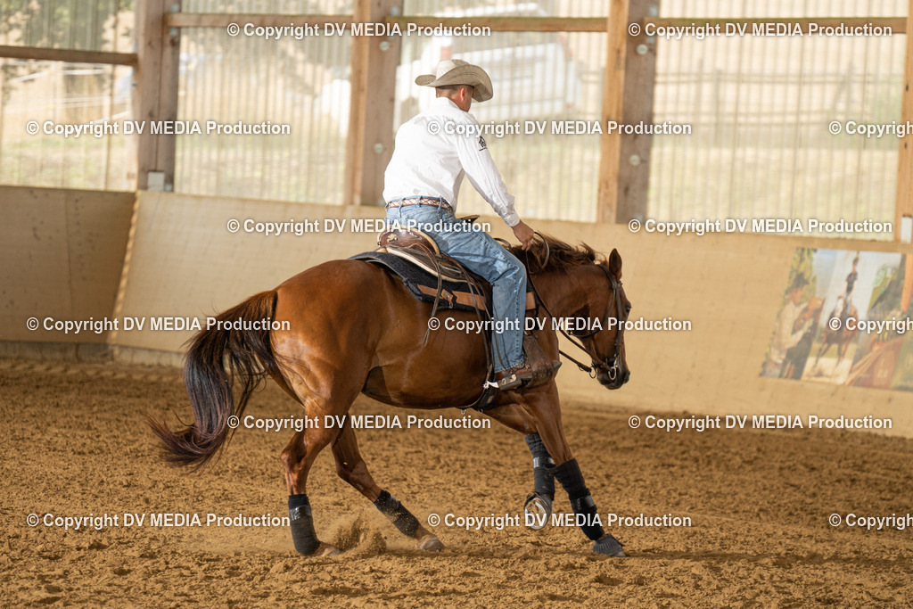 LAU01482 | dv-media-shop - Realisiert mit Pictrs.com