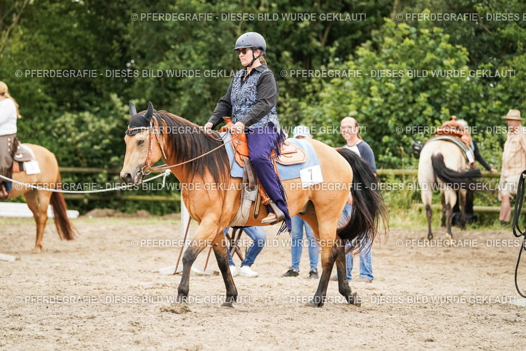 DSC08579 | Pferdegrafie