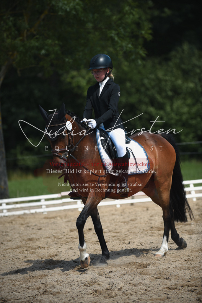 DSC_2529 | Pferde- und Turnierfotografie in Westsachsen. Pferdeportraits, Auftragszeichnungen und intuitive Kunst.