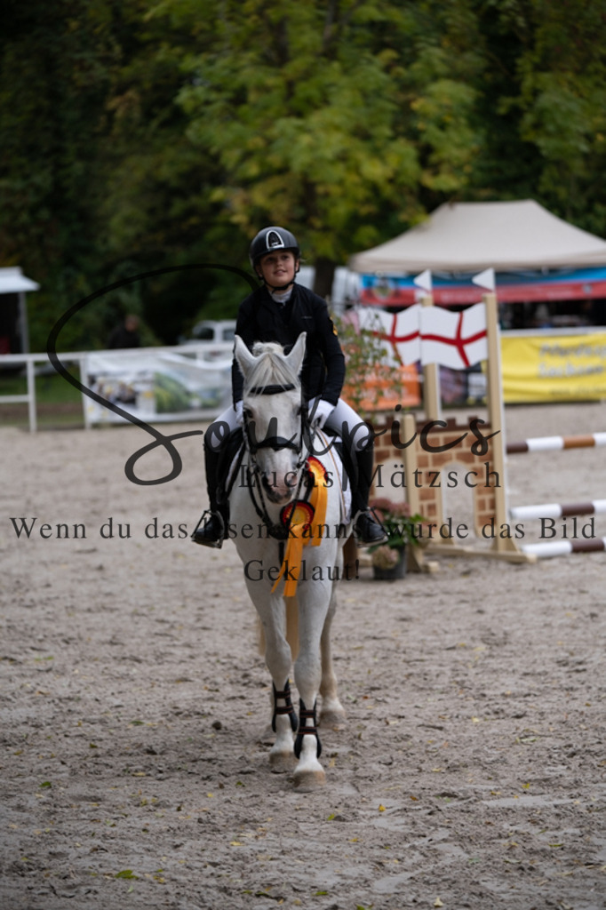 A7V09834 | Pferdefotograf