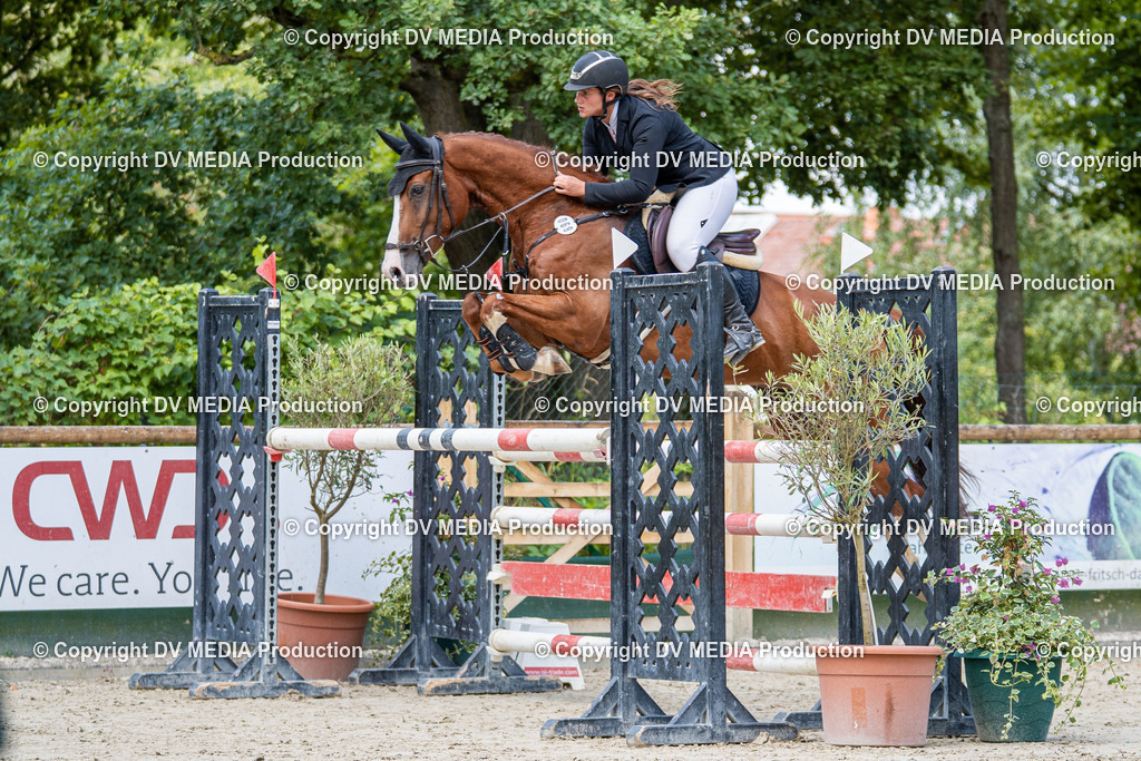 Hessische Tag 1-538 | dv-media-shop - Realisiert mit Pictrs.com