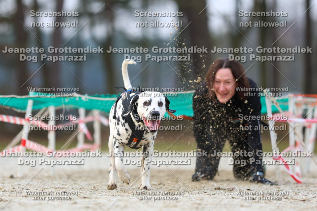 Dog Paparazzi - Strongdog North Mrz26-3662 | Dog Paparazzi Jeanette Grottendiek Fotografie & Videografie - Realisiert mit Pictrs.com