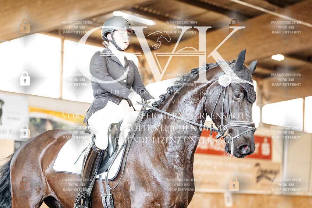 CK900665 | Turnierfotografie Pferdefotografie Trier Rheinland-Pfalz Pferdesport Reitsport Tierfotografie Sportfotografie Pferdevideo Pferdevideografie Equestrianvideography equestrianphotography  - Realisiert mit Pictrs.com