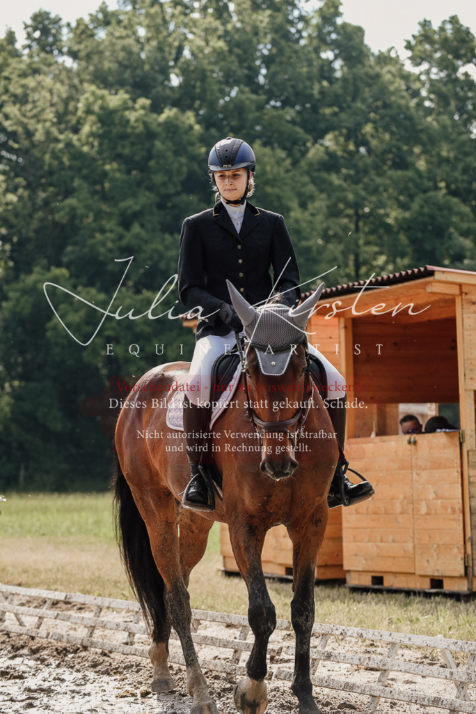 DSC_9084 | Pferde- und Turnierfotografie in Westsachsen. Pferdeportraits, Auftragszeichnungen und intuitive Kunst.