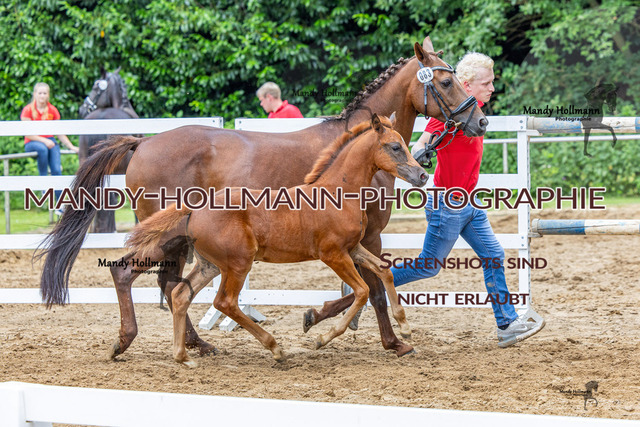25-7 FS SH 1 (5655) | mandyhollmannphotographie