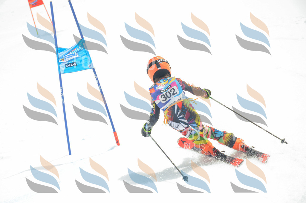 _ELE8272 | holidayphoto