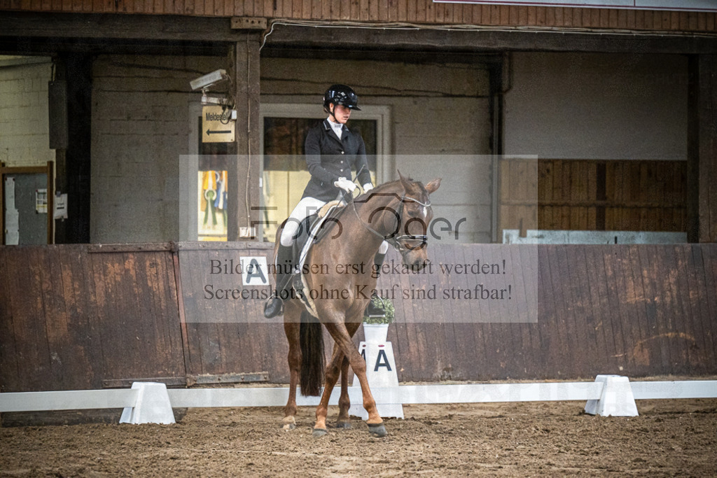 DOS_1184 | Entdecke hochwertige Reitturnierfotos von Foto Oger. Professionell, emotional und authentisch – jetzt Lieblingsmomente im Shop bestellen.Deutschlandweite Turnierfotografie. - Realisiert mit Pictrs.com