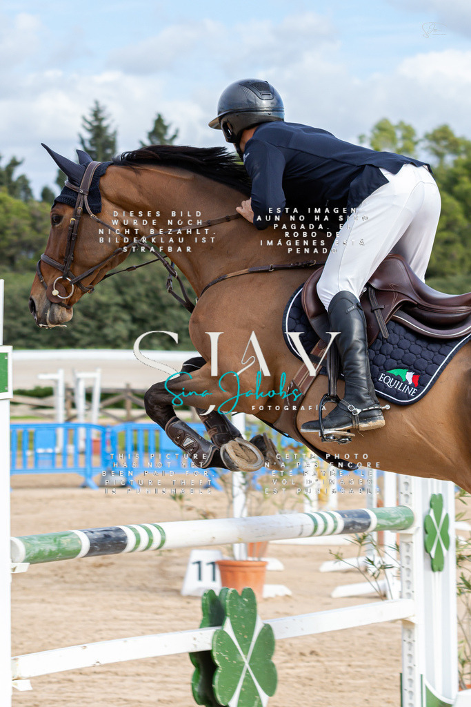 IMG_2523 | s-jay-photography - Realisiert mit Pictrs.com