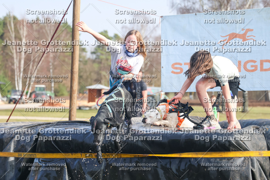 Dog Paparazzi - Strongdog North Mrz26-2182 | Dog Paparazzi Jeanette Grottendiek Fotografie & Videografie - Realisiert mit Pictrs.com