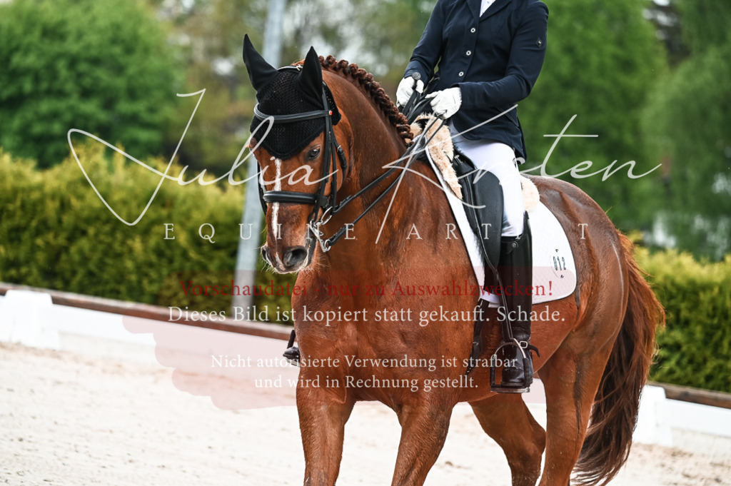 DSC_4241 | Pferde- und Turnierfotografie in Westsachsen. Pferdeportraits, Auftragszeichnungen und intuitive Kunst.