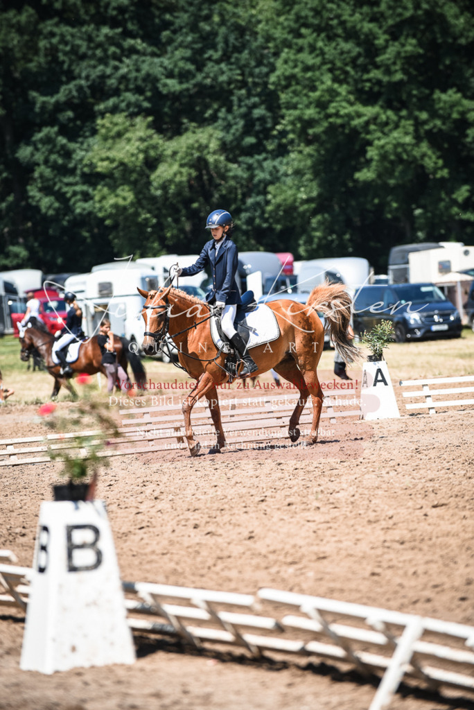 DSC_2912 | Pferde- und Turnierfotografie in Westsachsen. Pferdeportraits, Auftragszeichnungen und intuitive Kunst.
