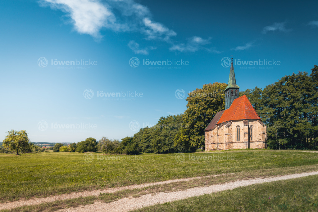 DANIEL-GIMMER-PHOTOGRAPHY_LOEWENBLICKE_0138 | löwenblicke | shop