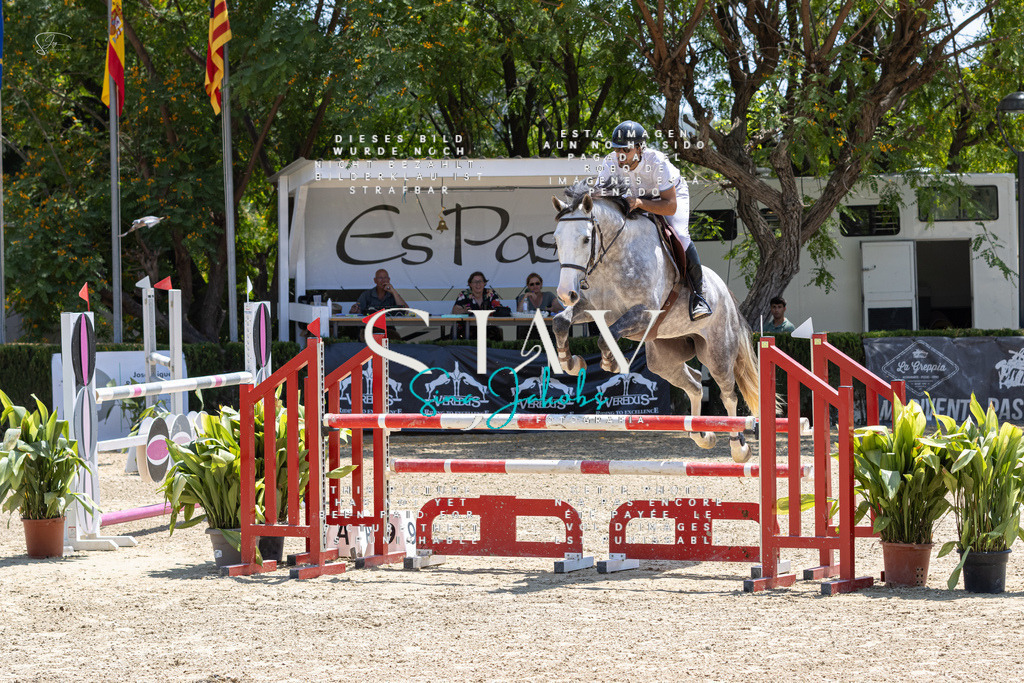 IMG_7468 | s-jay-photography - Realisiert mit Pictrs.com