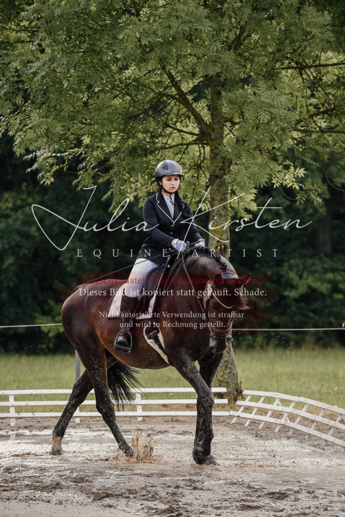 DSC_8571 | Pferde- und Turnierfotografie in Westsachsen. Pferdeportraits, Auftragszeichnungen und intuitive Kunst.