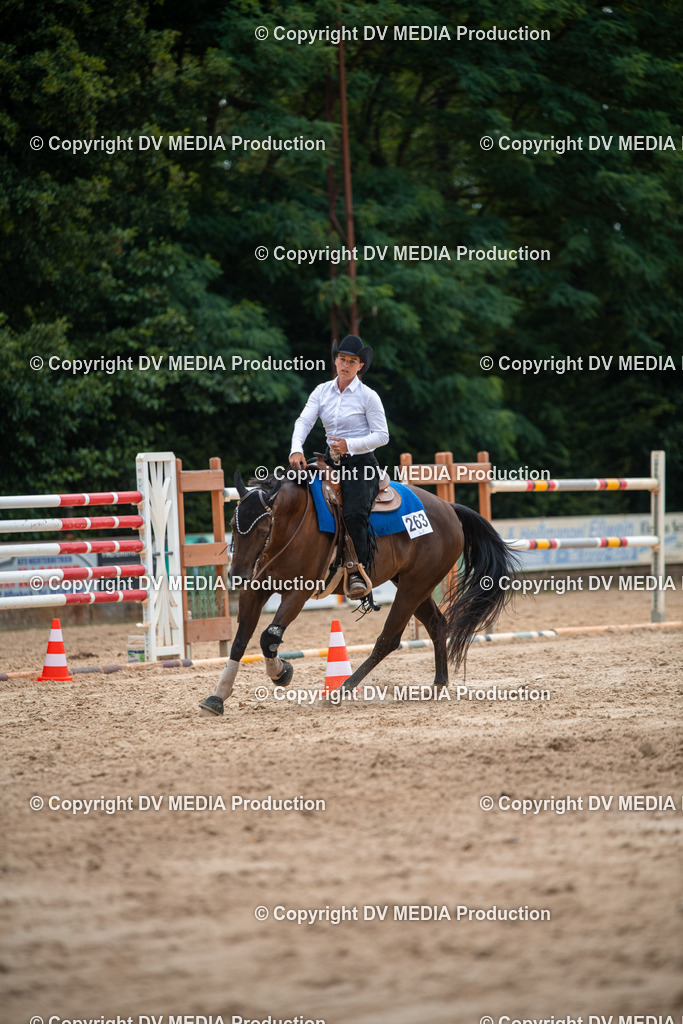 ZS2_8639 | dv-media-shop - Realisiert mit Pictrs.com