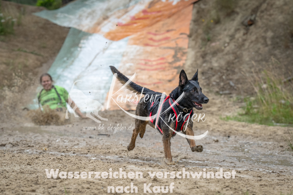 1644_ZZ92813-Bearbeitet | kk-dogfotos