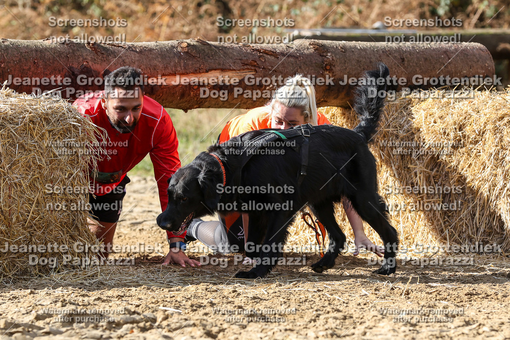 Dog Paparazzi - Strongdog 10-25-4953 | Dog Paparazzi Jeanette Grottendiek Fotografie & Videografie - Realisiert mit Pictrs.com