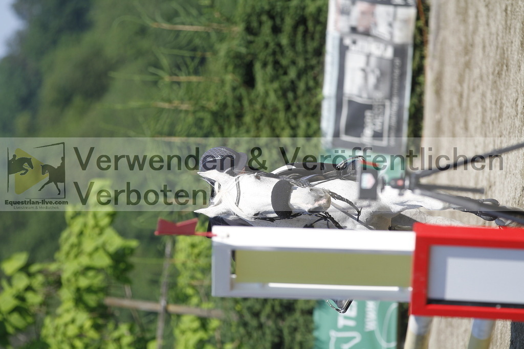 _MG_8132 | equestrian-live-com