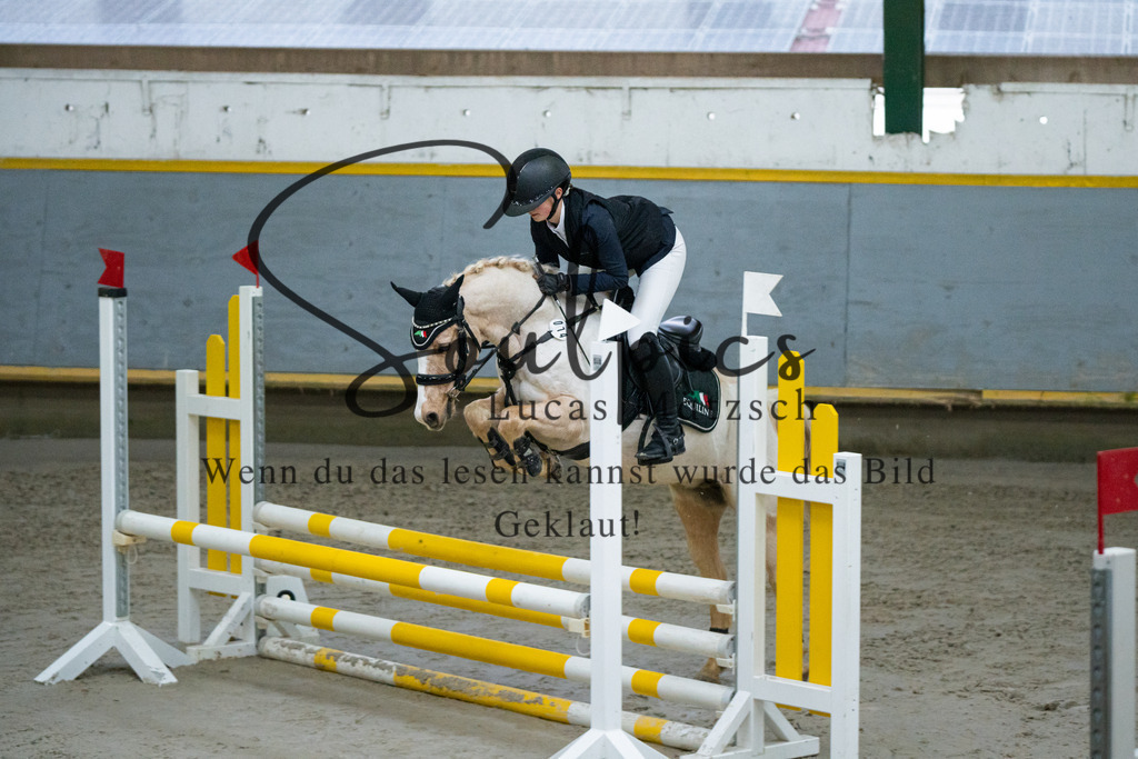 A7V00741 | Pferdefotograf