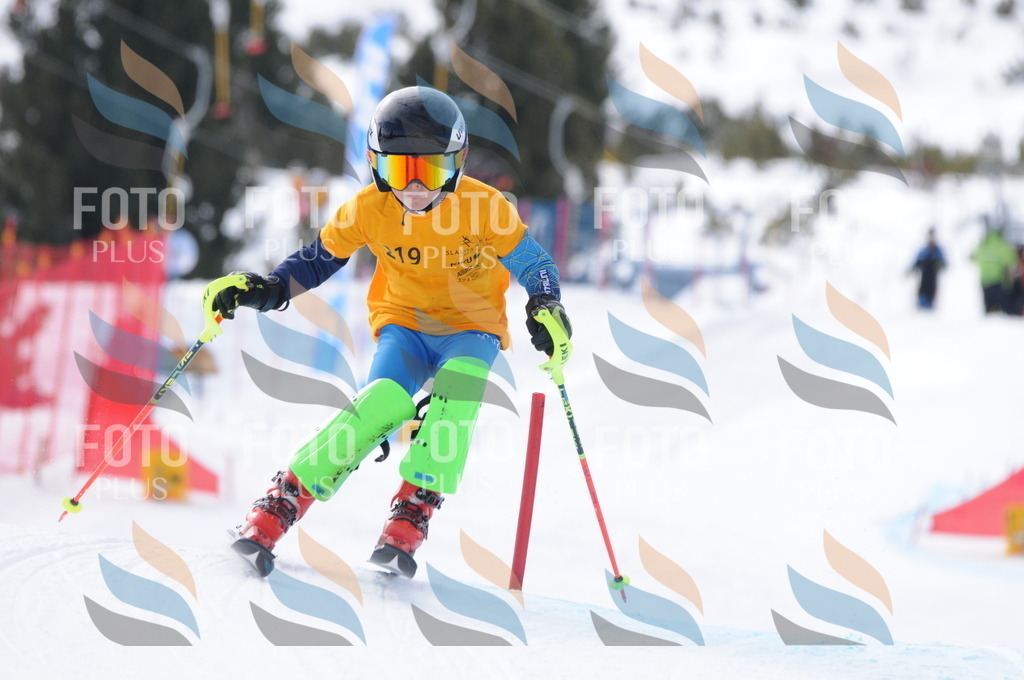 C7605 | holidayphoto