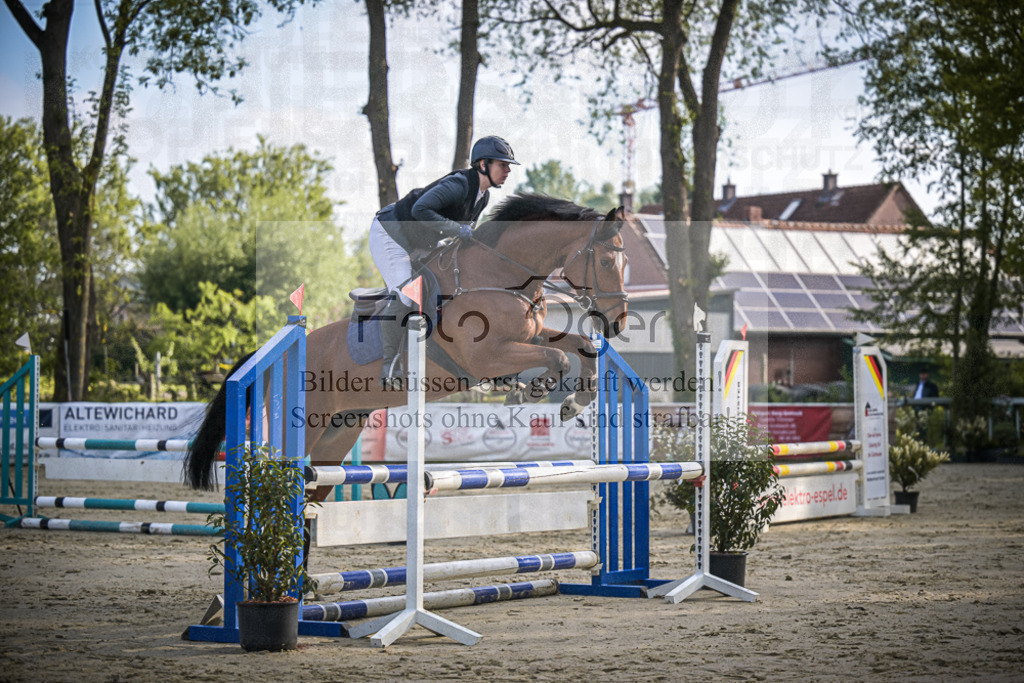 DOS_3843 | Entdecke hochwertige Reitturnierfotos von Foto Oger. Professionell, emotional und authentisch – jetzt Lieblingsmomente im Shop bestellen.Deutschlandweite Turnierfotografie. - Realisiert mit Pictrs.com