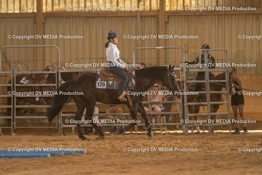 NID03697 | dv-media-shop - Realisiert mit Pictrs.com