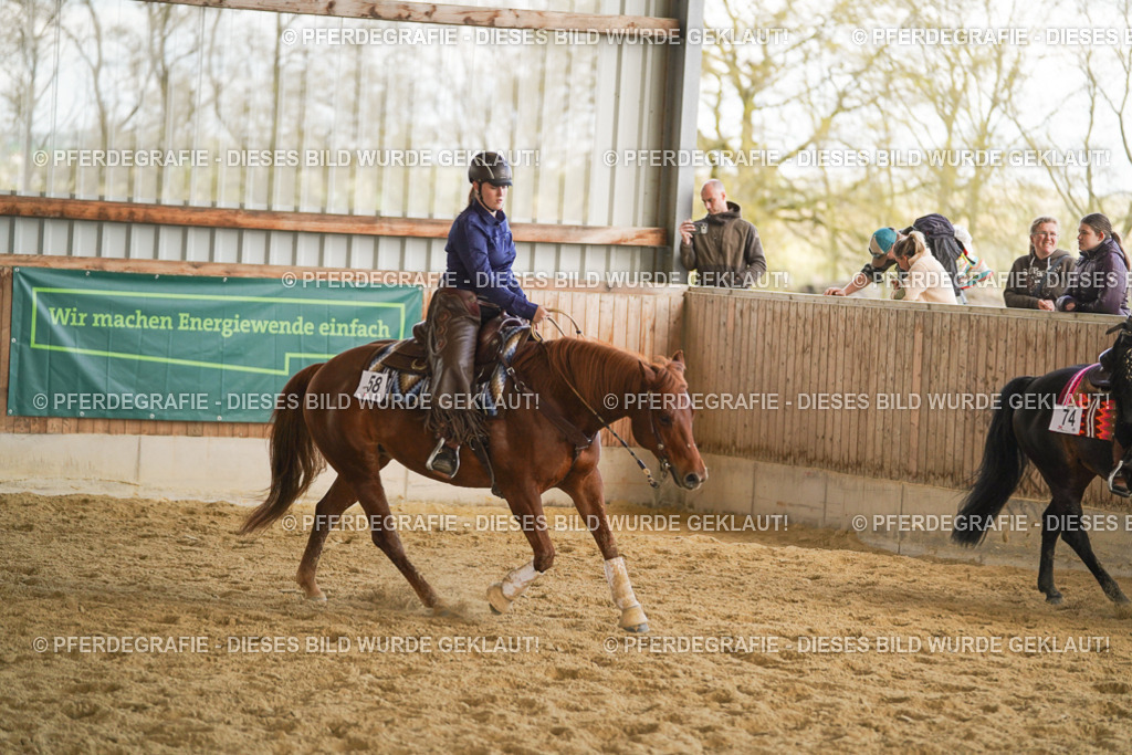 DSC08871 | Pferdegrafie