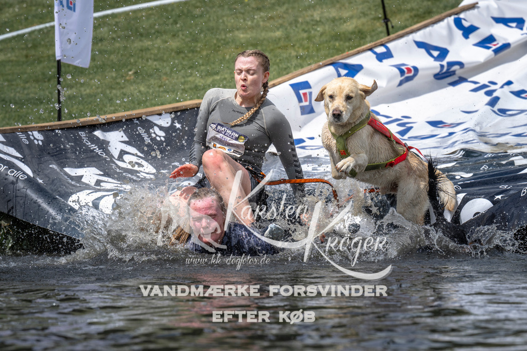 1155_ZZ94349 | kk-dogfotos