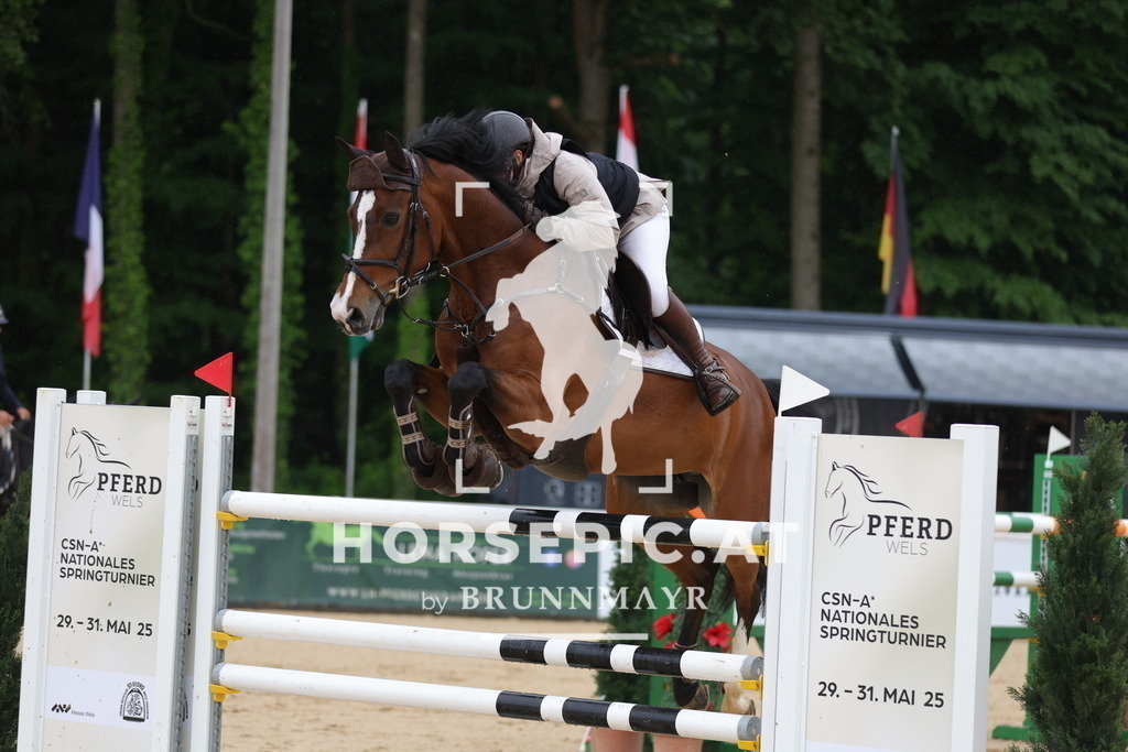 0P6A2648 | Willkommen bei Brunnmayr - Design & Fotografie – Ihrem Spezialisten für Reitturniere und Pferdeveranstaltungen in Oberösterreich, Salzburg und Bayern! Seit über 17 Jahren sind wir leidenschaftlich dabei.