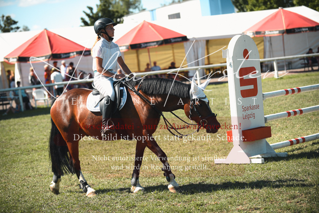 DSC_7294 | Pferde- und Turnierfotografie in Westsachsen. Pferdeportraits, Auftragszeichnungen und intuitive Kunst.
