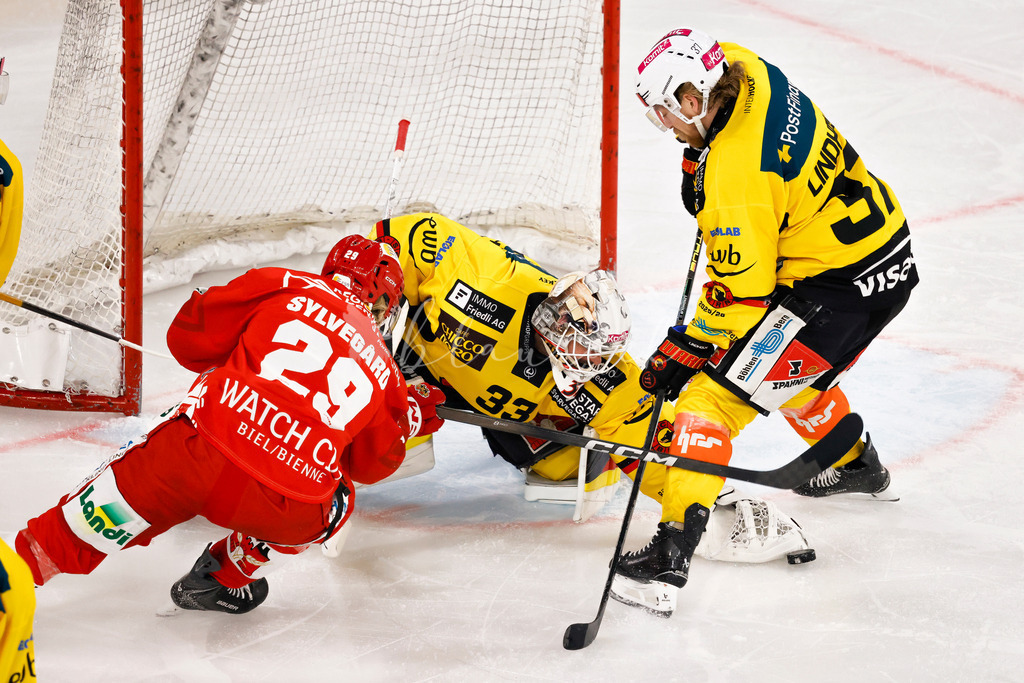 EHCB vs SCB 20260110_wb-2878 | Sportbilder, Sportfotograf, Hochzeits- und Eventfotografin, Flugshows, Portraits und Tiershooting, Aviation, Downhill, Nationalleague, Swissleague, International