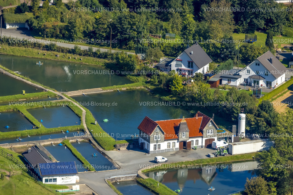 Lennestadt230909865Gleierbrueck | Luftbild, Sauerländer Forellenzucht Thomas Rameil, Fischteiche, Saalhausen, Lennestadt, Sauerland, Nordrhein-Westfalen, Deutschland