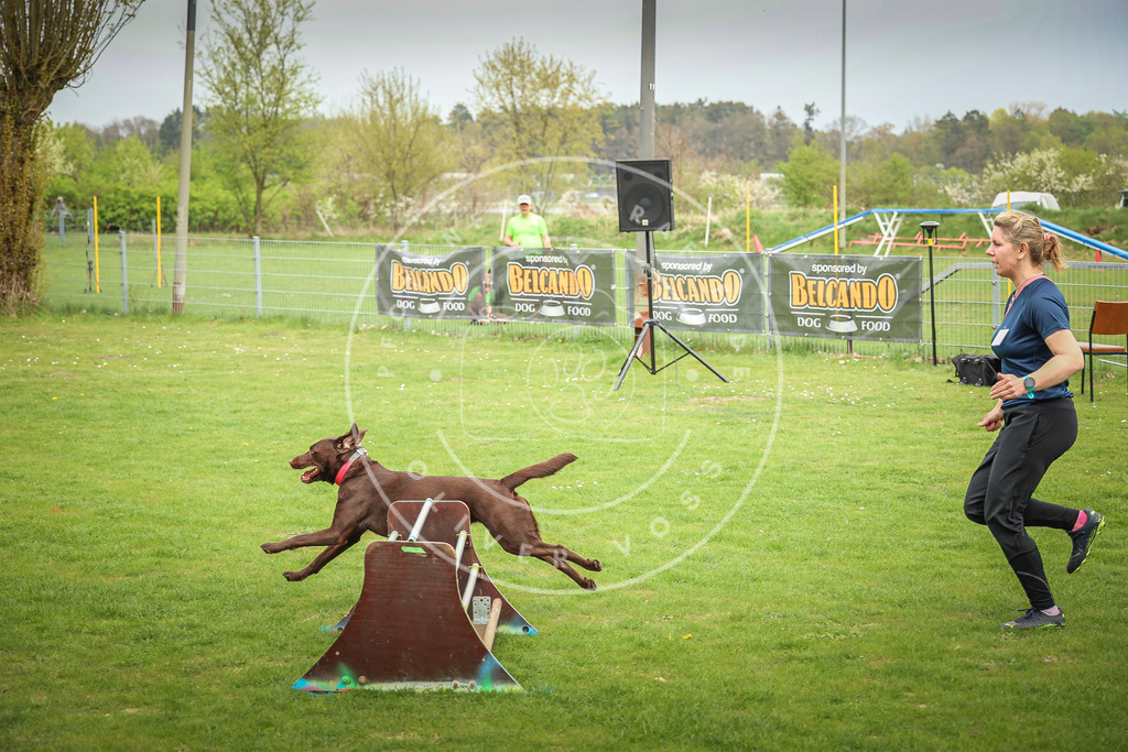 Pfotenfotografie_0L8A9956 | Hundefotografie, Tierfotograf, Pfotenfotografie, Fotoshooting Hund, Hunde Portrait, Hundesport, Hundeportraits, Heideshooting, Hunde, Sportfotograf, Hundefotograf, Turnierhundsport, THS,  - Realisiert mit Pictrs.com