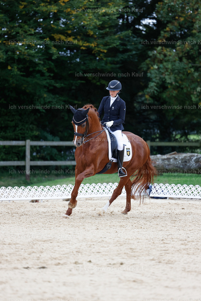 04_2-223-Dressur M__ -StoibPH-2954 | working equitationturnier fotograf videograf stoibphotography marixx film working equitation deutschland reitsport turnierfotografie eventfotografie equestrian events