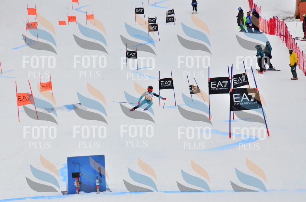 _ELE3790 | holidayphoto