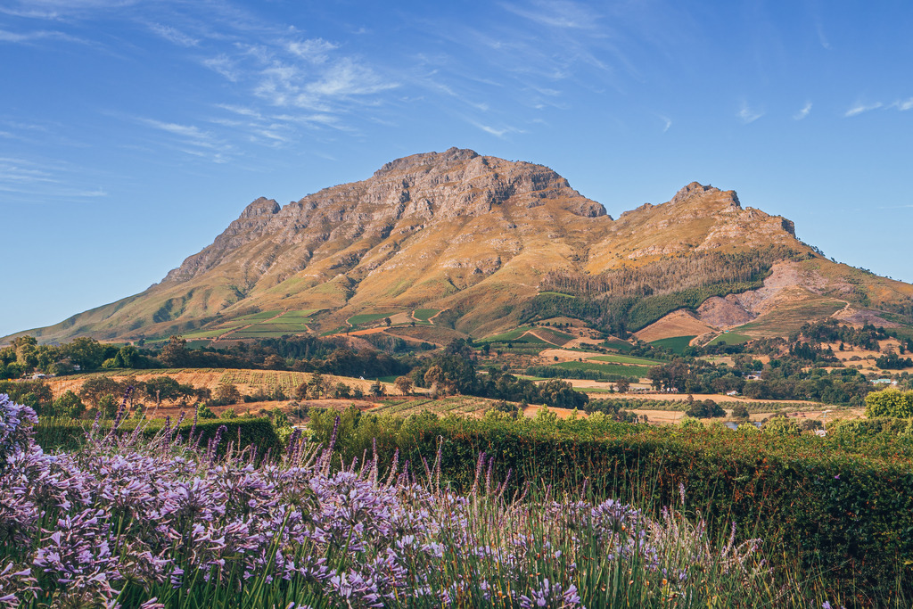 Südafrika-Stellenbosch-Berge-Abendsonne-001 | Einzigartige Fotos aus der ganzen Welt für Ihr Zuhause! ✓ Wandbilder ✓ Landschaftsfotos jetzt Online bestellen! - Realisiert mit Pictrs.com