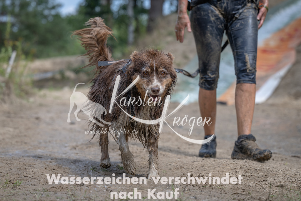 1235_ZZ92464 | kk-dogfotos