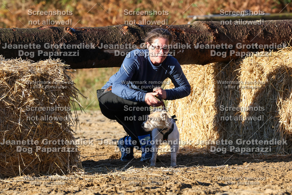 Dog Paparazzi - Strongdog 10-25-1250 | Dog Paparazzi Jeanette Grottendiek Fotografie & Videografie - Realisiert mit Pictrs.com
